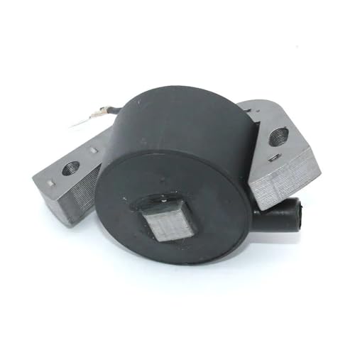GUOFHUIO Zündspule for J-ohns E-vinr 0582995 0584477 0580416 0582370 0582931 0580971 OMC 584477 580118 580197 580416 582370 582921 GUOFHUIO Zündspule for J-ohns E-vinr 0582995 0584477 0580416 0582370 0582931 0580971 OMC 584477 580118 580197 580416 582370 582921 von GUOFHUIO