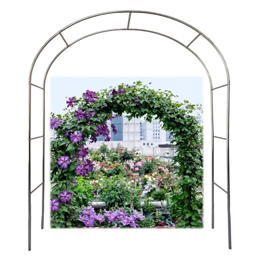 GUOGLZ Rosenbogen Freistehend Stabil Edelstahl Rankbogen Gartenbogen Hochzeitsbogen Für Pflanzen Zur Unterstützung Von Rosen(240cm x 320cm7.8"x 10.4") von GUOGLZ