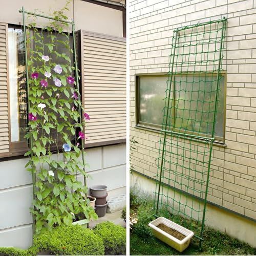 Gartengurkenspalier, Kletterpflanzen-Wachstums-Stützständer, Rankgitter Mit Kletternetz Für Outdoor-Pflanzen Zucchini, Gemüse Tomaten Blumen(60 * 180CM) von GUOGLZ