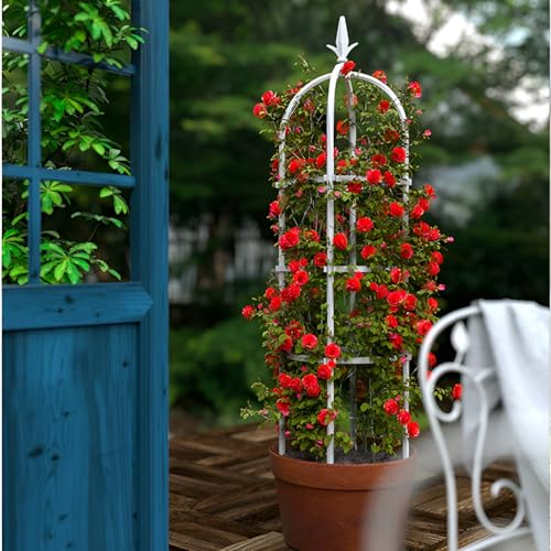 Rankhilfe Obelisk Metall Kletterhilfe Für Pflanzen Gurken Spalier Für Tomaten, Außenbereich Pflanzenständer Rankhilfe Rosen(120cm/3.9ft) von GUOGLZ