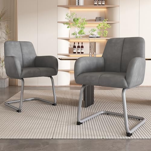 GUPTOMES Esszimmerstuhl, 2er Set, Sessel, moderner, minimalistischer Freizeitstuhl, Wohnzimmer-Schlafzimmerstuhl mit gewölbten Stahlfüßen, grau von GUPTOMES