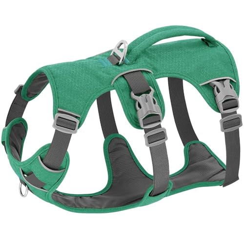 Einstellbarer Nylonhund -Wandertraining Kabelbaum Mit Griff Im Freien Reflektierende Hundekabelbaumweste Für Kleine Mittelgroße Hunde Labrador Bulldogge Geeignet,Grün,XS von GUQOFAIE