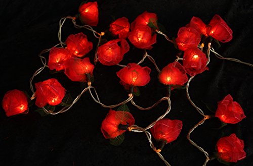 GURU SHOP Blüten LED Lichterkette 20 Stk. - Rose Dunkelrot, Skeletttblätter, 6x6x350 cm, Lichterketten von GURU SHOP