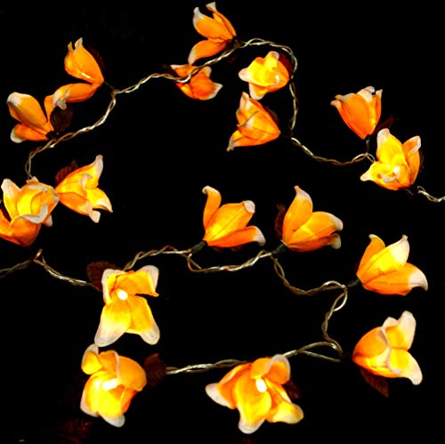 GURU SHOP Exotische Blüten LED Lichterkette Chiang Mai 20 Stk - Blüte Orange/weiß, Papier, 6x6x350 cm, Lichterketten von GURU SHOP