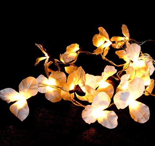 GURU SHOP Exotische Lotusblüten, Blüten LED Lichterkette Chiang Mai 20 Stk. - Lotus Naturweiß, Papier, 6x6x350 cm, Lichterketten von GURU SHOP