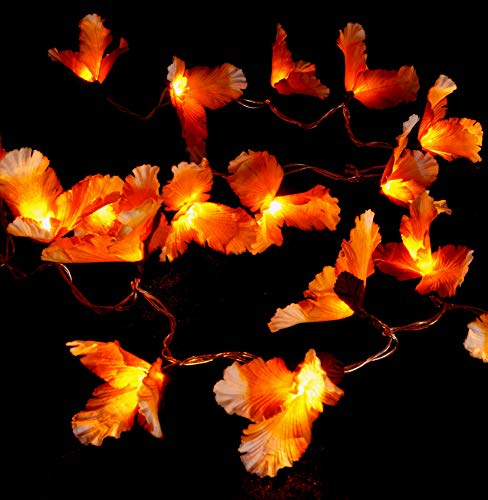 GURU SHOP Exotische Lotusblüten, Blüten LED Lichterkette Chiang Mai 20 Stk. - Lotus Naturweiß/orange, Papier, 6x6x350 cm, Lichterketten von GURU SHOP