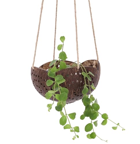 GURU SHOP Kokosnuss Teelicht zum Hängen, Natürlicher Dekotopf, Hängeampel aus Kokosnuss - Modell 11, Braun, 8x14x14 cm, Vasen & Blumentöpfe von GURU SHOP