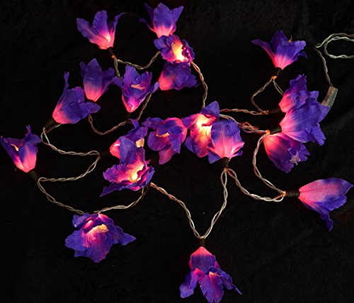 GURU SHOP Lotus Blüten LED Lichterkette 20 Stk. - Blüte Lila, Papier, 6x6x350 cm, Lichterketten von GURU SHOP