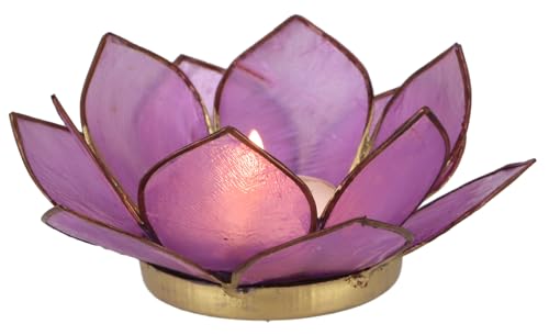 GURU SHOP Lotus Teelicht Muschel 11x4 cm - Dunkel-lila GURU SHOP Lotus Teelicht Muschel 11x4 cm - Dunkel-lila von GURU SHOP