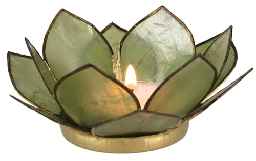 GURU SHOP Lotus Teelicht Muschel 11x4 cm - Olivgrün GURU SHOP Lotus Teelicht Muschel 11x4 cm - Olivgrün von GURU SHOP