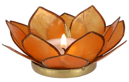 GURU SHOP Lotus Teelicht Muschel 11x4 cm - Orange GURU SHOP Lotus Teelicht Muschel 11x4 cm - Orange von GURU SHOP