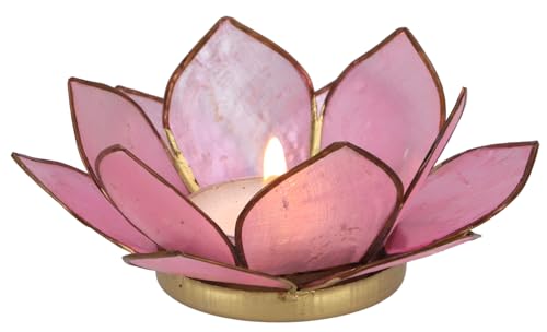 GURU SHOP Lotus Teelicht Muschel 11x4 cm - Rosa GURU SHOP Lotus Teelicht Muschel 11x4 cm - Rosa von GURU SHOP