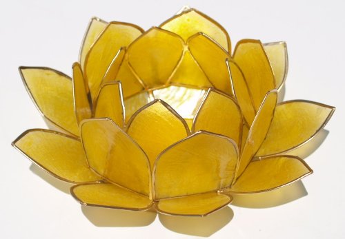 GURU SHOP Lotus Teelicht Muschel 14x6 cm - Goldgelb, Teelichthalter & Kerzenhalter von GURU SHOP
