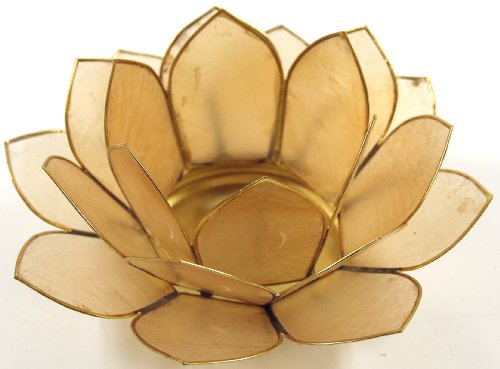 GURU SHOP Lotus Teelicht Muschel 14x6 cm - Sandfarben, Beige, Teelichthalter & Kerzenhalter von GURU SHOP