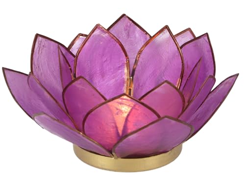 GURU SHOP Lotus Teelicht Muschel 14x6 cm - Dunkel-lila von GURU SHOP