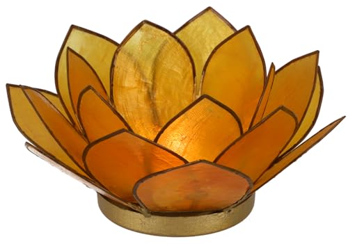 GURU SHOP Lotus Teelicht Muschel 14x6 cm - Goldgelb von GURU SHOP