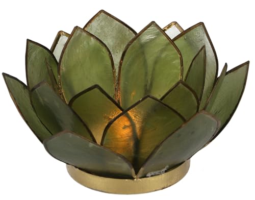 GURU SHOP Lotus Teelicht Muschel 14x6 cm - Olivgrün GURU SHOP Lotus Teelicht Muschel 14x6 cm - Olivgrün von GURU SHOP