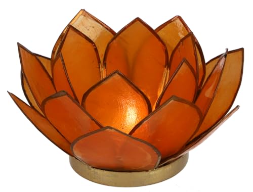 GURU SHOP Lotus Teelicht Muschel 14x6 cm - Orange GURU SHOP Lotus Teelicht Muschel 14x6 cm - Orange von GURU SHOP