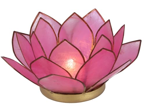 GURU SHOP Lotus Teelicht Muschel 14x6 cm - Rosa von GURU SHOP