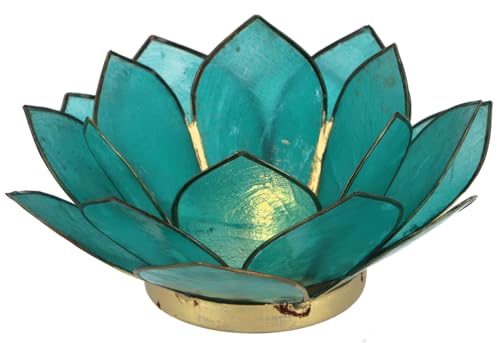 GURU SHOP Lotus Teelicht Muschel 14x6 cm - Türkis GURU SHOP Lotus Teelicht Muschel 14x6 cm - Türkis von GURU SHOP