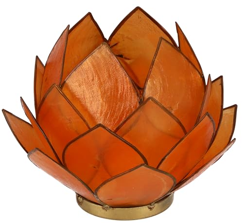 GURU SHOP Lotus Teelicht Muschel 20 cm, Orange, Muschelscheiben, Farbe: Orange, Teelichthalter & Kerzenhalter von GURU SHOP