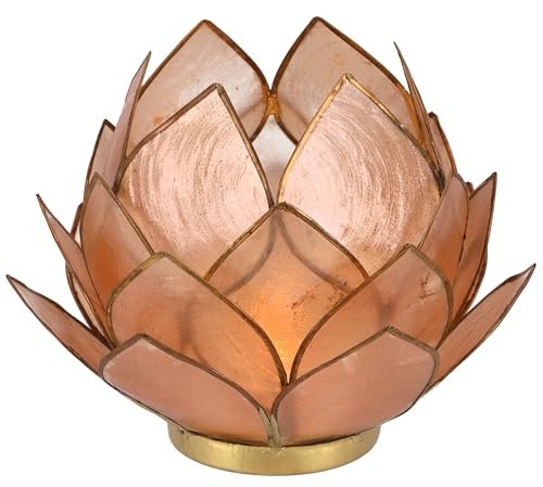 GURU SHOP Lotus Teelicht Muschel 20 cm, Sandfarben, Muschelscheiben, Farbe: Sandfarben, Teelichthalter & Kerzenhalter von GURU SHOP
