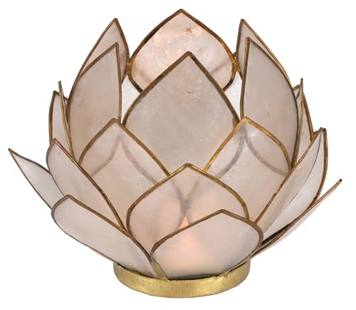GURU SHOP Lotus Teelicht Muschel 20 cm, Weiß, Muschelscheiben, Farbe: Weiß, Teelichthalter & Kerzenhalter von GURU SHOP