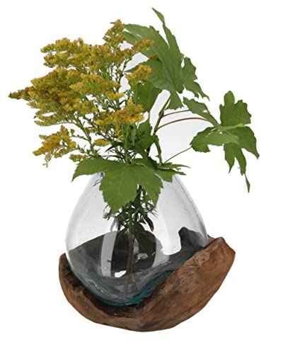 GURU SHOP Wurzelholz Vase, Schale - Ø Glas 20 cm M4, Braun, Vasen & Blumentöpfe von GURU SHOP