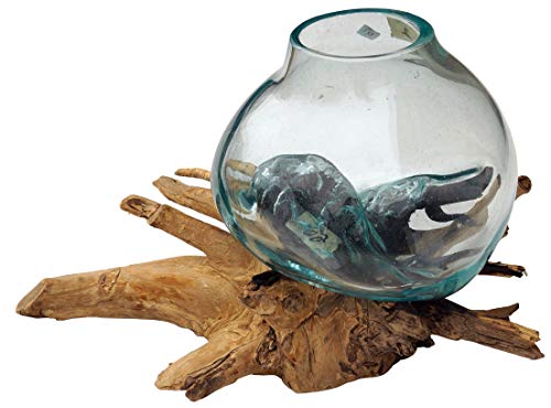 GURU SHOP Wurzelholz Vase - Ø Glas bis 20 cm M1, Braun, Vasen & Blumentöpfe von GURU SHOP