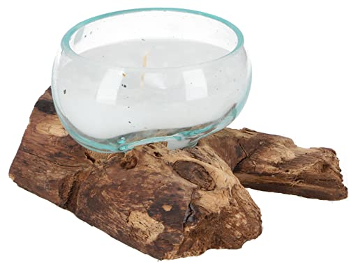 GURU SHOP Wurzelholzvase mit Kerze, Teelichtglas aus Mundgeblasenem Glas - Flach, Braun, 9x13x11 cm, Teelichthalter & Kerzenhalter von GURU SHOP
