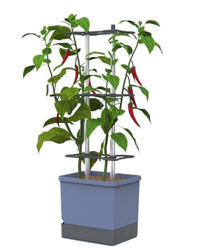 GUSTA GARDEN Charly Chili Chilitopf - Pflanzentopf mit Rankhilfe, Bewässerungssystem & Robustem Rahmen (Blau, XL) von GUSTA GARDEN