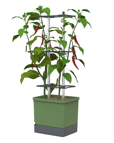 GUSTA GARDEN Charly Chili Chilitopf - Pflanzentopf mit Rankhilfe, Bewässerungssystem & Robustem Rahmen (Dunkelgrün, XL) von GUSTA GARDEN