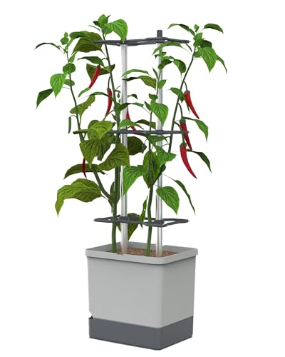 GUSTA GARDEN Charly Chili Chilitopf - Pflanzentopf mit Rankhilfe, Bewässerungssystem & Robustem Rahmen (Hellgrau, XL) von GUSTA GARDEN