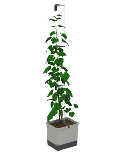 GUSTA GARDEN Curt Cucumber - Selbstbewässernder Gurkentopf mit Ranksystem, 20L Erdvolumen & 4,5L Wassertank, Rankhilfe, Gurken, UV-Stabil, Made in EU (hellgrau) von GUSTA GARDEN