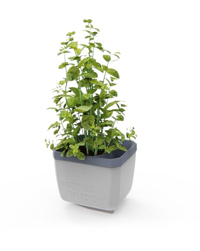 GUSTA GARDEN Herbs Buddy - Selbstbewässerungstopf & Kräutertopf für Küche & Fensterbank, Ideal für Basilikum, Wassertank, Wasserstandsanzeige (1, hellgrau) von GUSTA GARDEN