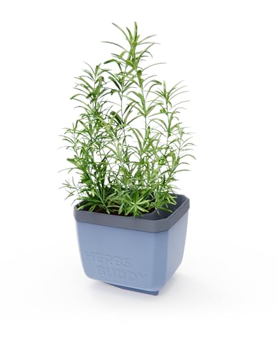 GUSTA GARDEN Herbs Buddy - Selbstbewässerungstopf & Kräutertopf für Küche & Fensterbank, Ideal für Basilikum, Wassertank, Wasserstandsanzeige (1, blau) von GUSTA GARDEN