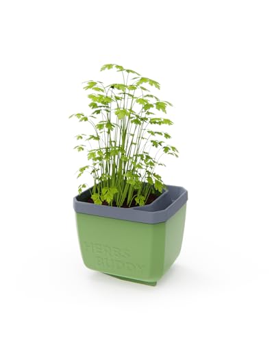 GUSTA GARDEN Herbs Buddy - Selbstbewässerungstopf & Kräutertopf für Küche & Fensterbank, Ideal für Basilikum, Wassertank, Wasserstandsanzeige (1, dunkelgrün) von GUSTA GARDEN