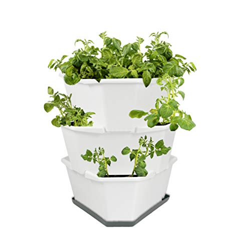 GUSTA GARDEN Paul Potato Starter Kartoffelturm - stapelbar - Hochbeet/Pflanzgefäß/Blumentopf für Balkon, Garten und Terrasse (3 Etagen, Weiß) inkl. Untersetzer von GUSTA GARDEN