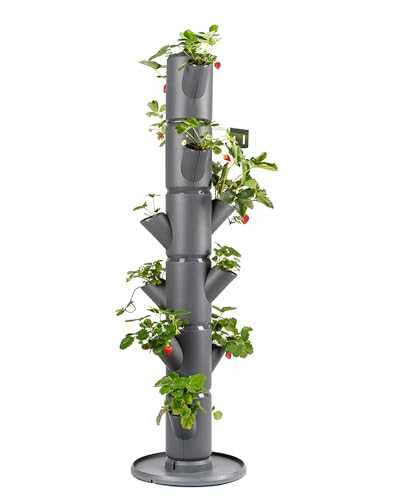 Gusta Garden Sissi Strawberry Erdbeerbaum Classic Anthrazit - Hochbeet System Erdbeeren mit Wandhalterung - Garten & Balkon - 113 cm - 15L Erdvolumen von GUSTA GARDEN