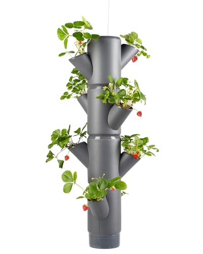 GUSTA GARDEN Sissi Strawberry Erdbeerbaum Hanging Anthrazit - Hängeampel System für Erdbeeren - für Garten & Balkon - 77 cm Höhe - 10L Erdvolumen von GUSTA GARDEN