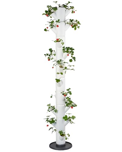 Gusta Garden Sissi Strawberry Erdbeerbaum Infinity Weiß - Hochbeet System Erdbeeren mit Wandhalterung - Garten & Balkon - 185 cm Höhe - 25L Erdvolumen von GUSTA GARDEN