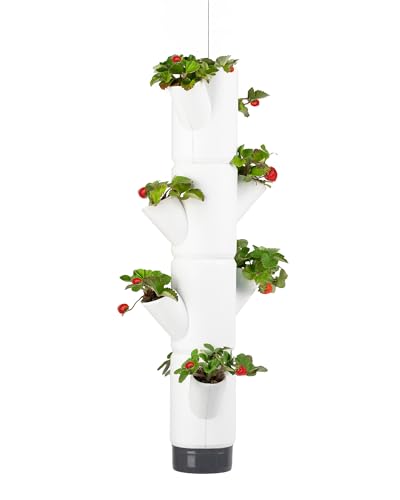 GUSTA GARDEN Sissi Strawberry Erdbeerbaum Hanging Weiß - Hängeampel System für Erdbeeren - für Garten & Balkon - 77 cm Höhe - 10L Erdvolumen von GUSTA GARDEN