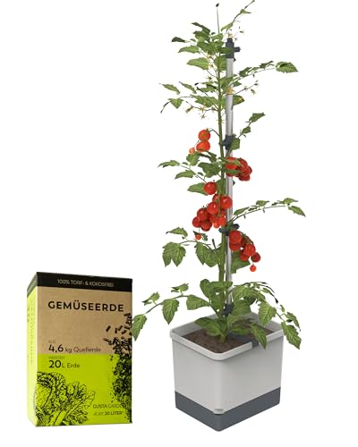 GUSTA GARDEN Tom Tomato Tomatentopf Hellgrau - Pflanzentopf mit Rankhilfe, Bewässerungssystem & Befestigungshaken - Set inkl. 20L Erde - 4,5L Wassertank & 20L Erdvolumen (hellgrau, mit Erde) von GUSTA GARDEN