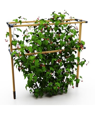 Gusta Garden Berry Buddy - Flexible Rankhilfe für Beeren: Himbeeren, Brombeeren & Heidelbeeren, erweiterbar, produziert in der EU, Rankgitter aus Holz (120cm) von GUSTA GARDEN