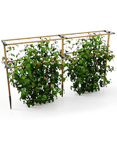 Gusta Garden Berry Buddy - Flexible Rankhilfe für Beeren: Himbeeren, Brombeeren & Heidelbeeren, erweiterbar, produziert in der EU, Rankgitter aus Holz (240cm) von GUSTA GARDEN