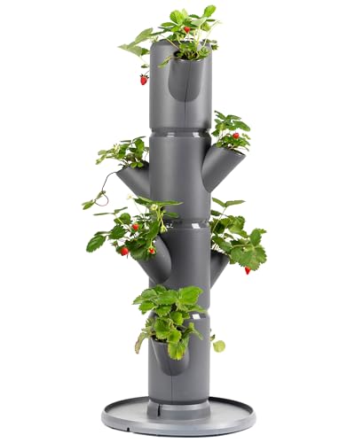 GUSTA GARDEN Sissi Strawberry Erdbeerbaum Starter Anthrazit - Hochbeet System Erdbeeren mit Standfuß - Garten & Balkon - 77 cm Höhe - 10L Erdvolumen von GUSTA GARDEN