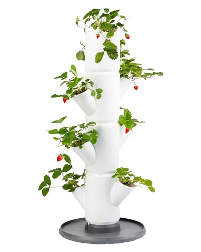 Sissi Strawberry (Starter, weiß) - Pflanzgefäß/Topf/Pflanzturm/Hochbeet für Erdbeeren - für Balkon, Garten und Terrasse - Erdbeeren und Kräuter anpflanzen von GUSTA GARDEN