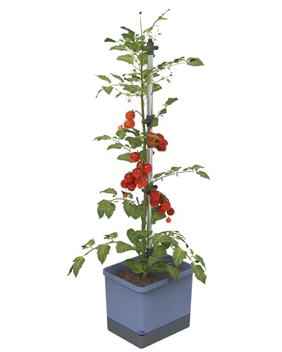 Gusta Garden Tom Tomato Tomatentopf Blau - Pflanzentopf mit Rankhilfe, Bewässerungssystem & Befestigungshaken - 4,5L Wassertank & 20L Erdvolumen von GUSTA GARDEN