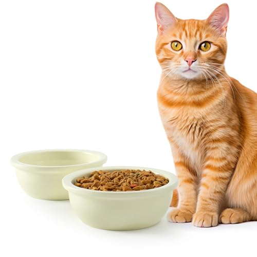 GUUSII HOME 2 Stück Katzennapf Futternapf Fressnapf Katze Keramik Katzen Napf Katzenfutternapf Katzennäpfe Katzenschüssel Ersatzschüssel Katzen Schüssel 14cm 360ml Maschinenwaschbar（Beige） von GUUSII HOME