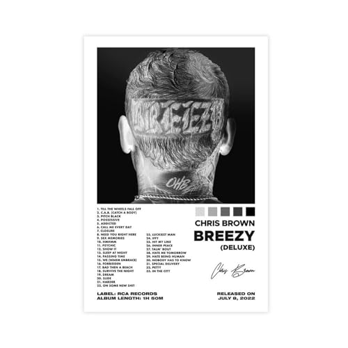 GUyfam Chris Brown – Breeze Album Cover Poster Leinwand Poster Wandkunst Dekor Druck Bild Gemälde für Wohnzimmer Schlafzimmer Dekoration 20 x 30 cm von GUyfam